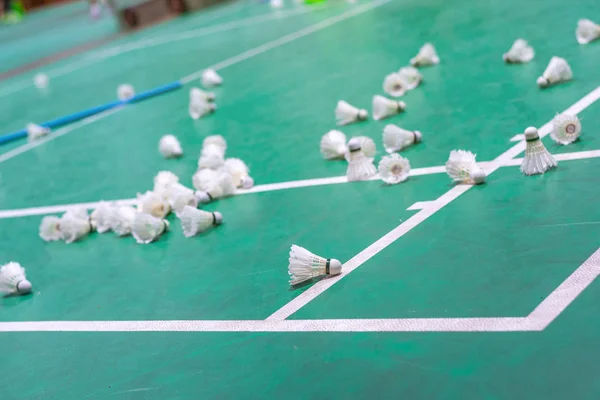 badminton raketle yeşil sahada beyaz çizgi ile.