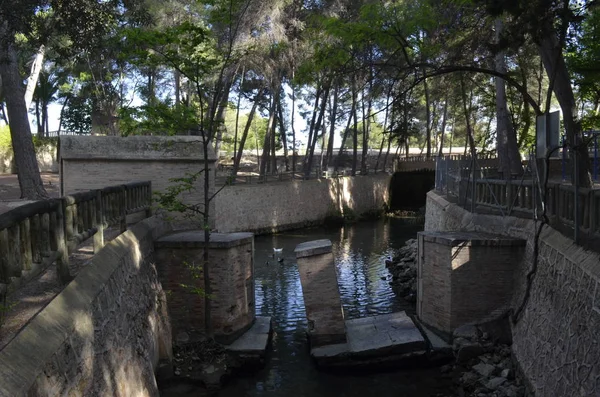 Küçük yarım saat Valencia merkezi sermaye doğanın Lliria eyâletinde bulunan otantik bir vahadır: Belediye Park San Vicente de Lliria.