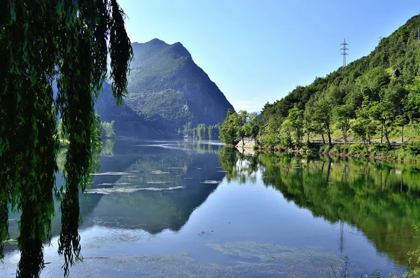 Oliana Bažiny Řeky Segre — Stock fotografie