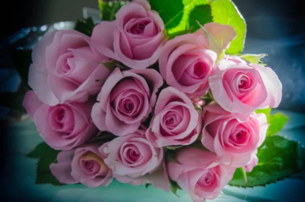 Bir gül bir odunsu çiçekli bitki Roseau, ailesindeki Rosa, cins veya ayılar çiçek var. Fazla tür ve Kültivatör binlerce vardır. Onlar bir grup tırmanma dik çalılar veya sürükleyin bitkilerin formu