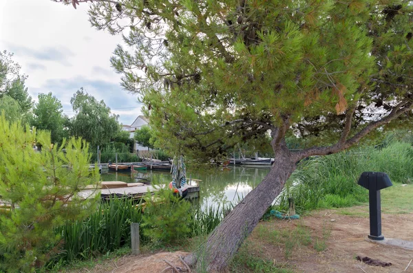 Catarroja bağlantı noktası Albufera için ana erişen biridir. Bağlantı ve iletişim geri kalanı yetersiz olduğu zaman zaman diğer konumlarla gezinti sendikadan bir noktası oldu.