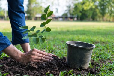 The young man is planting tree to preserve environment