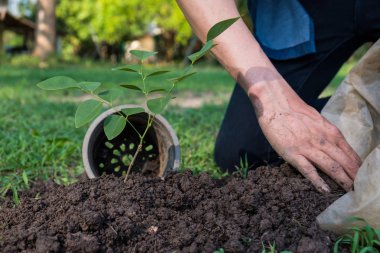 The young man is planting tree to preserve environment