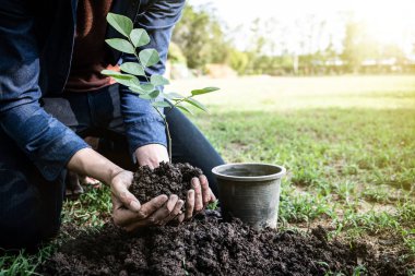 The young man is planting tree to preserve environment