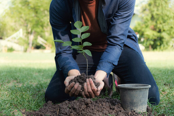 The young man is planting tree to preserve environment