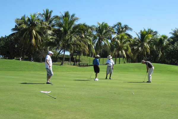 Beyaz erkek golf oyuncu diğer üç adam, Varadero Golf kulübünde Küba, Kasım 2010 beklerken güneşli golf sahası ile dört oyuncu, yeşil bir putt yapma şapka ile