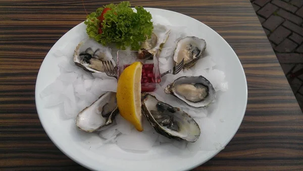 Kırılmış buz üzerinde beyaz tabakta limon ve marul garnitür ile servis çiğ istiridye; sağlıklı lezzetli meze olarak yemeye hazır