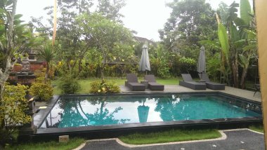 Sakin yüzme havuzu yemyeşil tropikal bahçe Ubud tropikal içinde bulunan su, ağaçlarda yansıması ile yağışlı sezon Bali Adası