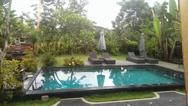 Sakin yüzme havuzu yemyeşil tropikal bahçe Ubud tropikal içinde bulunan su, ağaçlarda yansıması ile yağışlı sezon Bali Adası