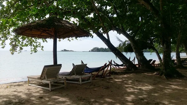 Boş şezlong, hamaklar ve şemsiye ağaçlar altında gölgede tropikal plaj