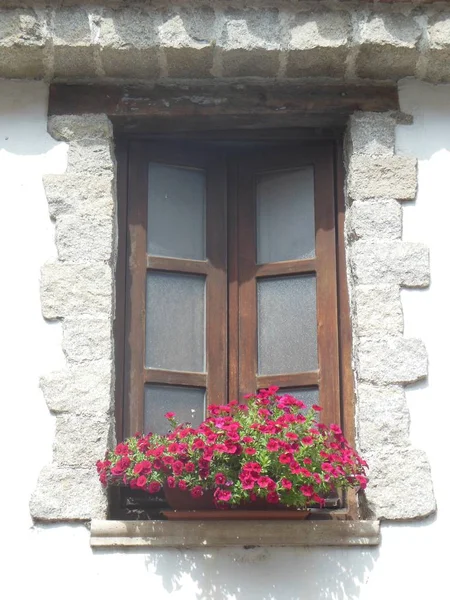 Beyaz duvar ve çiçekli bitkiler, kopya alanı ile İtalyan kemerli balkon