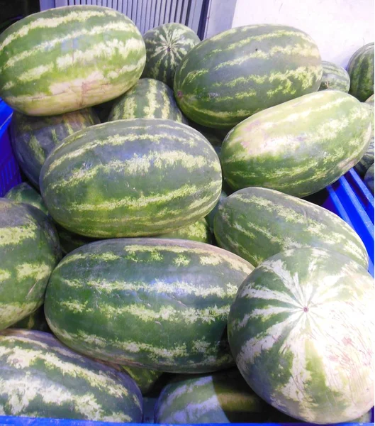 Sardunya İtalya pazarında potalara Kazıklı taze büyük karpuz