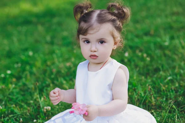 Kind Kleines Mädchen Kleid Park Auf Gras — Stockfoto