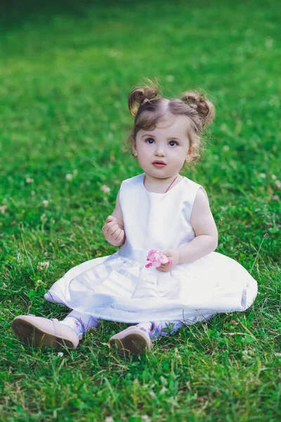 Kind Kleines Mädchen Kleid Park Auf Gras — Stockfoto
