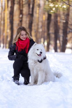Güzel genç kız ile kar üzerinde kış ormandaki Samoyed köpek