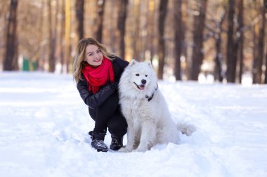 Güzel genç kız ile kar üzerinde kış ormandaki Samoyed köpek