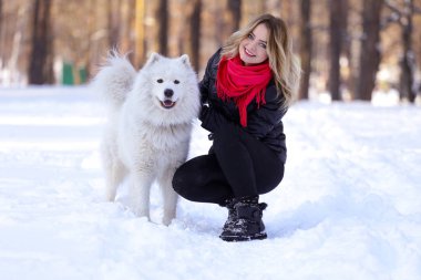 Güzel genç kız ile kar üzerinde kış ormandaki Samoyed köpek