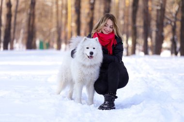 Güzel genç kız ile kar üzerinde kış ormandaki Samoyed köpek