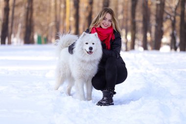 Güzel genç kız ile kar üzerinde kış ormandaki Samoyed köpek