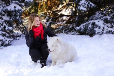 Güzel genç kız ile kar üzerinde kış ormandaki Samoyed köpek