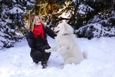 Güzel genç kız ile kar üzerinde kış ormandaki Samoyed köpek