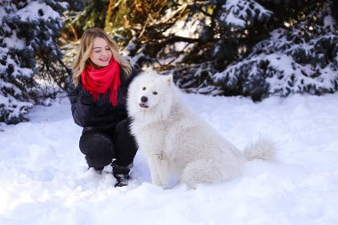 Güzel genç kız ile kar üzerinde kış ormandaki Samoyed köpek