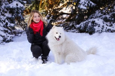 Güzel genç kız ile kar üzerinde kış ormandaki Samoyed köpek
