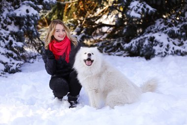 Güzel genç kız ile kar üzerinde kış ormandaki Samoyed köpek