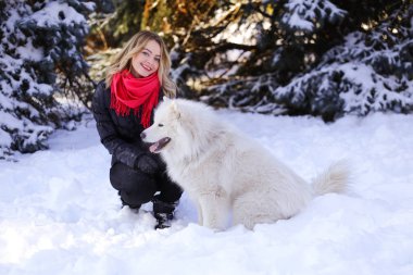 Güzel genç kız ile kar üzerinde kış ormandaki Samoyed köpek