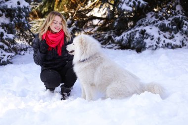 Güzel genç kız ile kar üzerinde kış ormandaki Samoyed köpek