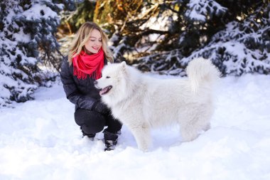 Güzel genç kız ile kar üzerinde kış ormandaki Samoyed köpek