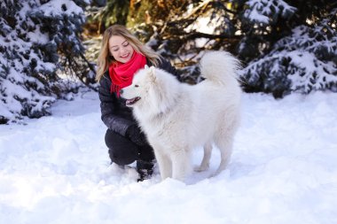 Güzel genç kız ile kar üzerinde kış ormandaki Samoyed köpek