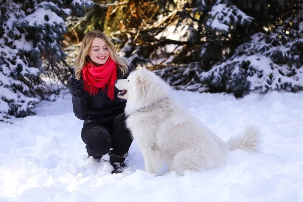 Güzel genç kız ile kar üzerinde kış ormandaki Samoyed köpek