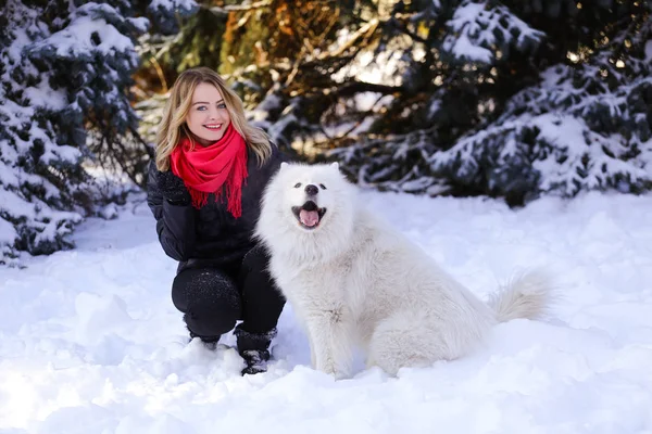 Güzel genç kız ile kar üzerinde kış ormandaki Samoyed köpek