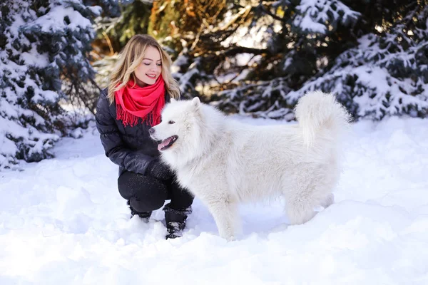 Güzel genç kız ile kar üzerinde kış ormandaki Samoyed köpek
