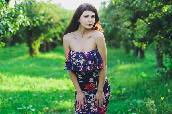 Joven Chica Morena Hermosa Vestido Azul Parque Verano Fondo Hierba —  Fotos de Stock