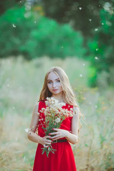 Retrato Una Joven Hermosa Con Vestido Rojo Campo Verano Aire —  Fotos de Stock