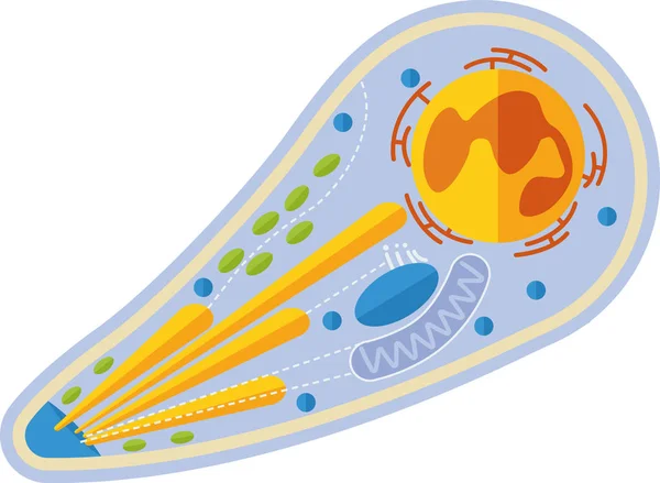 Vector Pattern Cell Structure — Stock Vector