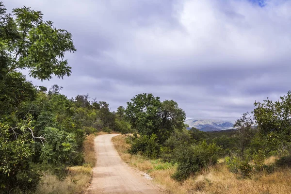 Safari Carretera Grava Berg Dal — Foto de Stock