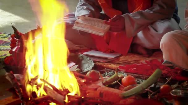 結婚式 バルディア ネパールで寺井のマントラを読んで祭式中に祈るヒンズー教バラモン — ストック動画