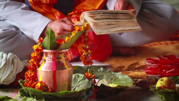 Brahman Hindú Reza Durante Puja Leyendo Mantra Para Boda Bardia — Vídeos de Stock