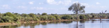 Panoramik gün batımı göl Kruger National park, Güney Afrika
