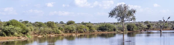 Panoramiczny Widok Zachód Słońca Nad Jeziorem Kruger National Park Afryka — Zdjęcie stockowe