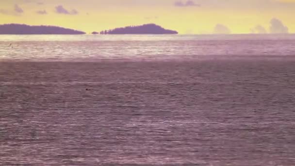 Langschwanzboot Sonnenuntergangslandschaft Hat Chao Mai Nationalpark Thailand — Stockvideo