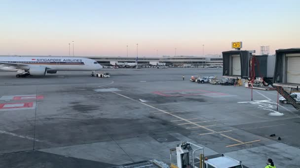 Singapore Airlines A350 900 Ulr Llegando Puerta Time Lapse — Vídeos de Stock