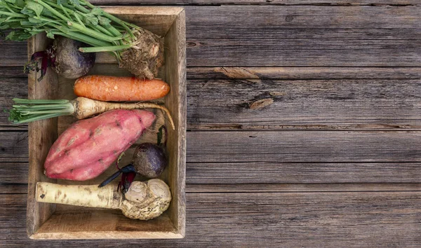 Mix of raw root vegetables: beet, carrot, celery root , parsley root , sweet potato and horseradish with copy space on a wood vintage, rustic background. Above or top view composition