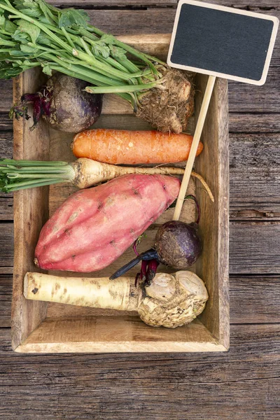 Mix of raw root vegetables: beet, carrot, celery root , parsley root , sweet potato and horseradish with copy space on a wood vintage, rustic background. Above or top view composition