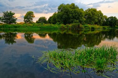 Orta Rusya 'da Voronezh Nehri kıyısında sıcak, sessiz bir yaz akşamı.