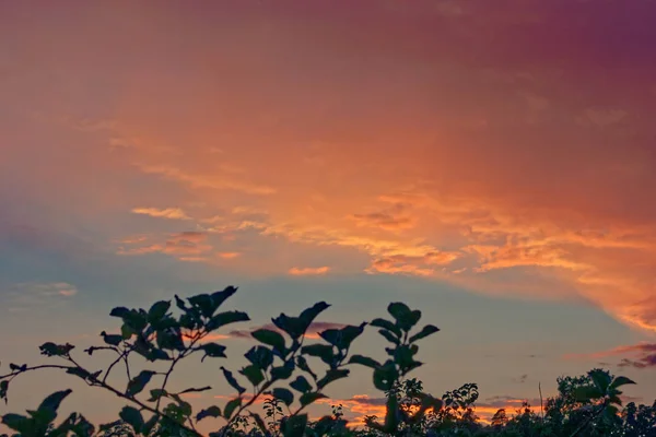 Vacker blå himmel med moln av olika former och färger. — Stockfoto