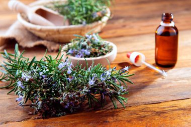 freshly picked rosemary on a wooden table with essential oil clipart